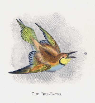 Arı Yiyen by Alexander Francis Lydon